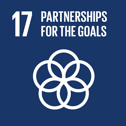 17. Revitalize the global partnership for sustainable development